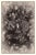 Annie's Orchard presents a richly textured arrangement of natural elements, featuring intricate details of flora and...