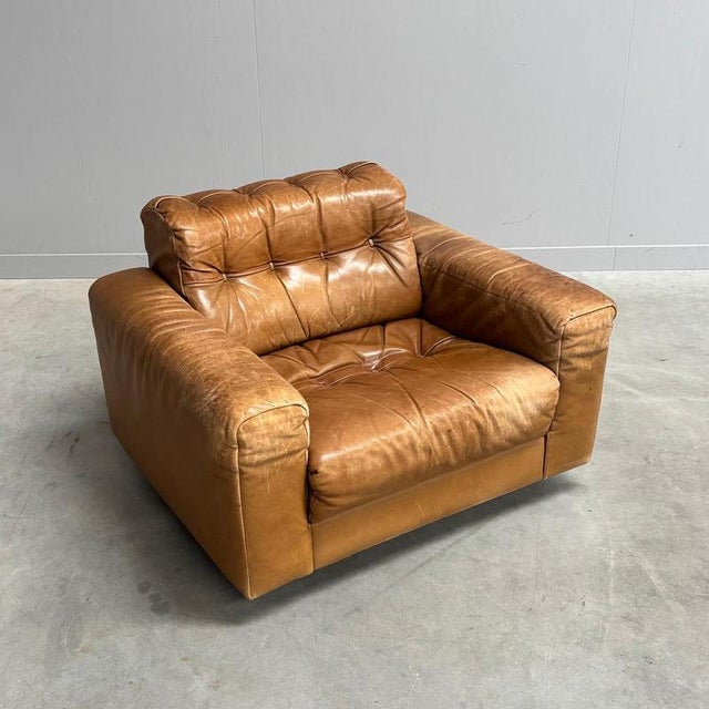 Late 20th Century DS40 Lounge Chair by Robert Haussmann for De Sede, 1970s For Sale - Image 5 of 14