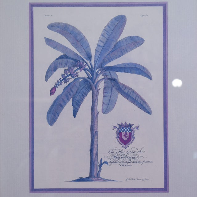 Set of 4 Vintage Gold Frame Palm Art For Sale - Image 4 of 6