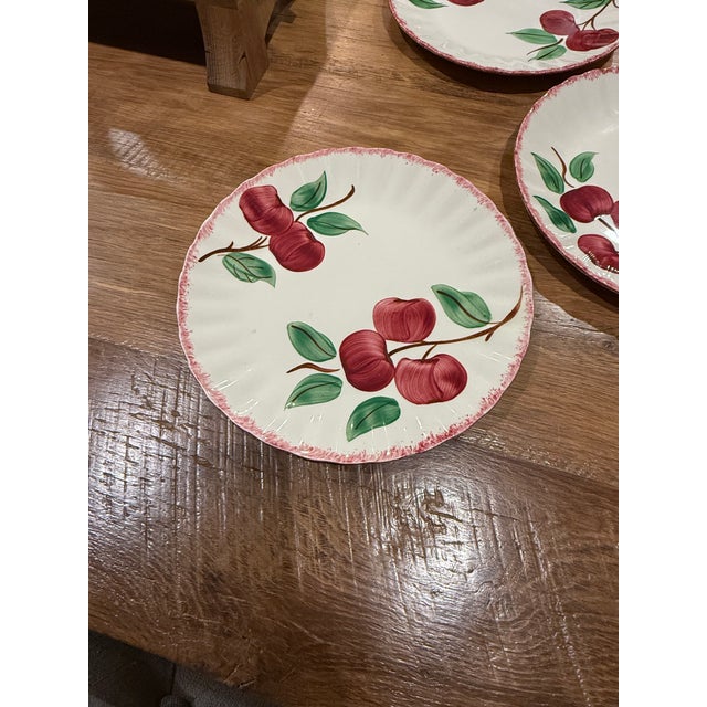 Ceramic 1950s Blue Ridge Apple Dinner Plates Set of 5 For Sale - Image 7 of 8
