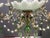 Opaline Glass Beaded Chandelier in Pastel Blue and Green Crystal Drops, 1950s For Sale - Image 10 of 15