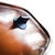 Copper Large Copper Stainless Fish Frying Pan from Spring Culinox, Switzerland For Sale - Image 8 of 10