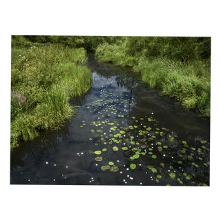 Ellie Davies, Chalk Streams 1, 2023, Print For Sale