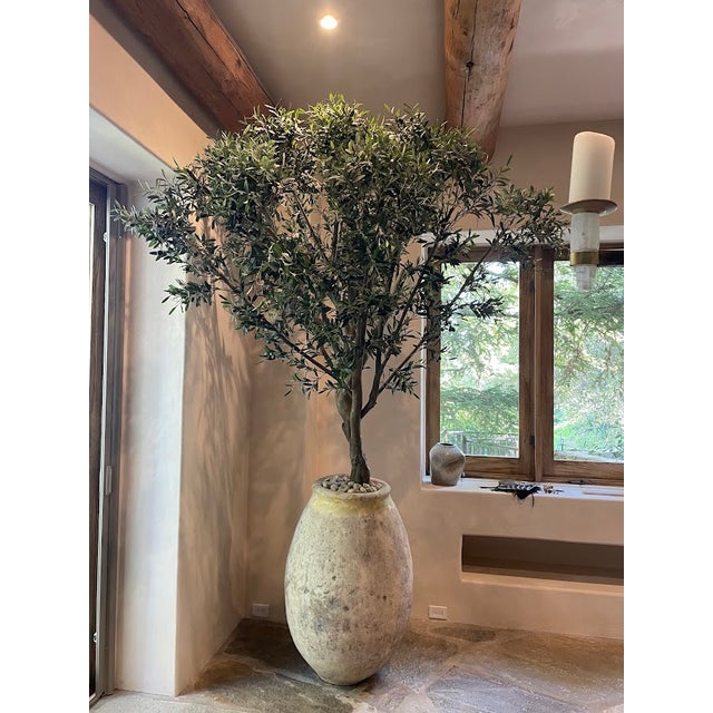 This is a 12-foot faux “fruiting” olive tree with a very convincing, old-world Mediterranean look. The tree has a natural,...
