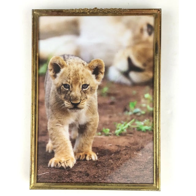 Very nice and classic frame from Europe. The tarnish is even and makes a beautiful patina. Glass protection and the back...