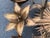 Bronze Large Italian Gilt Iron Floral Wall Sconce For Sale - Image 8 of 12