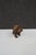 Brown Black Forest Carved Wooden Bear Figurine For Sale - Image 8 of 10