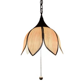 Example of Pendant Lighting in Baltimore