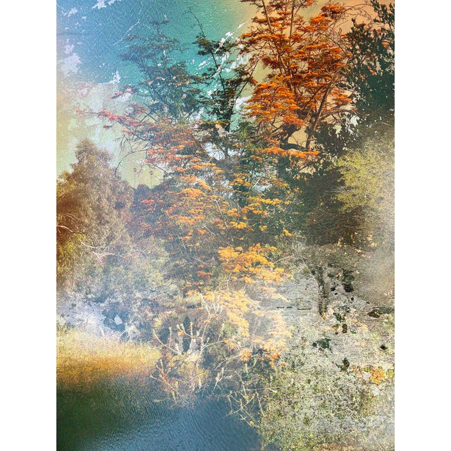 Abstract "Silk Oak" – Amber Botanical Fine Art Photography Print (Limited Edition of 50) For Sale - Image 3 of 3