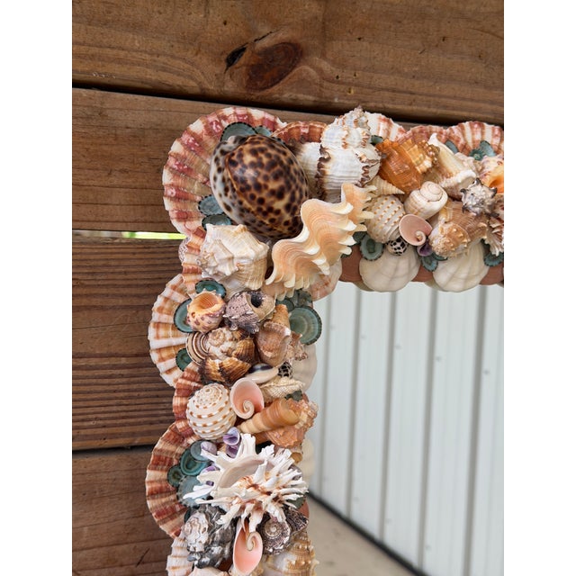 Contemporary Custom Coastal Seashell Wall Mirror With Coral & Mixed Shell Mosaic Frame For Sale - Image 3 of 12