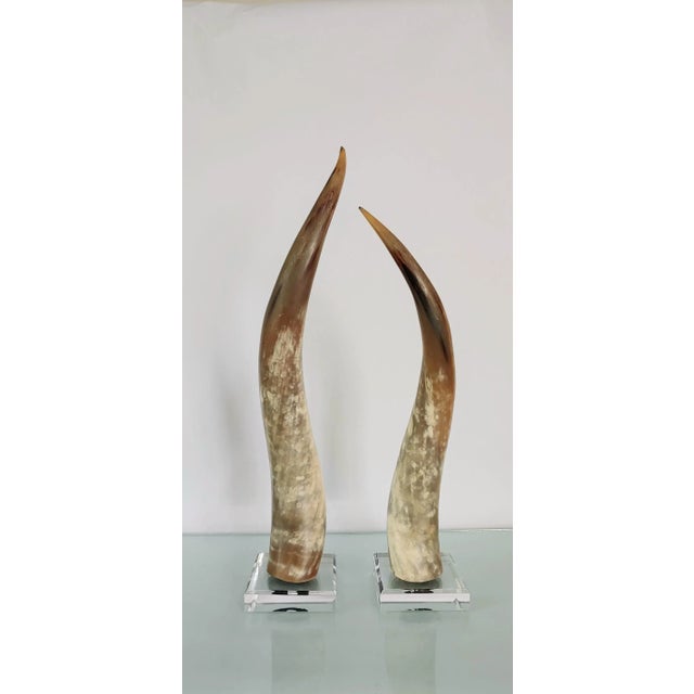 Karl Springer LTD Vintage Texas Longhorns Mounted on Acrylic - a Pair For Sale - Image 4 of 8