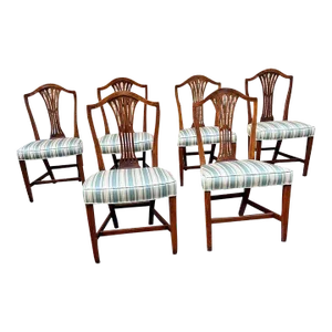 Antique 19th Century George III Tiger Oak Upholstered Dining Chairs- Set of 6