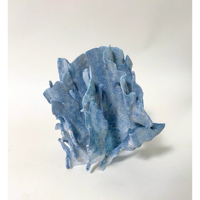 Natural Blue Coral specimen with remnants of sea life attached and a cut and polished base to protect surfaces. Each piece...