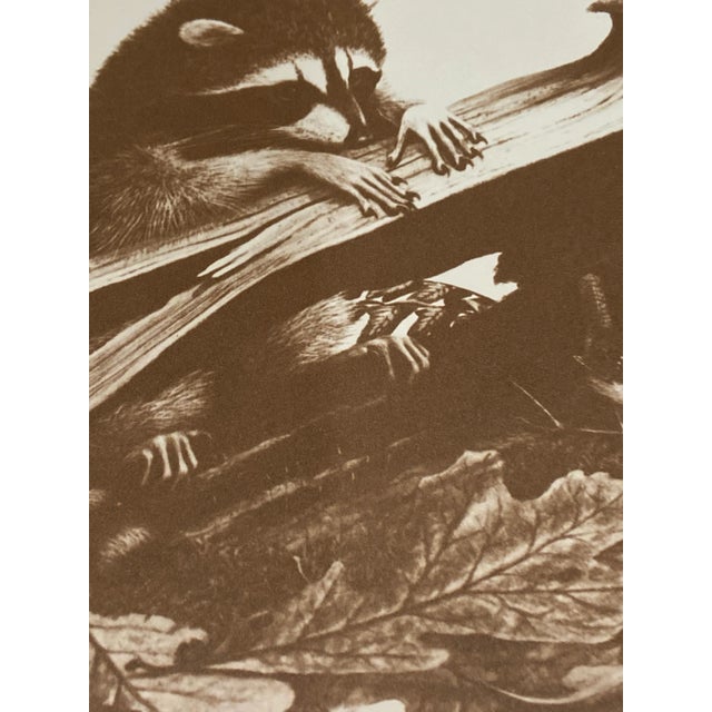 1976 Ray Harm “Racoon” First Day of Issue - 1 of 500 Original Print With Seal It comes in the original envelope with...