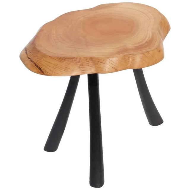 Wood Bog Oak and Olive Table by Jörg Pietschmann For Sale - Image 7 of 7