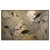 Fossil Fish Mural For Sale