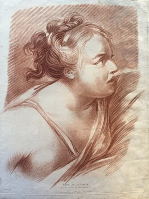 1772 Antique French Engraving by Louis Bonnet