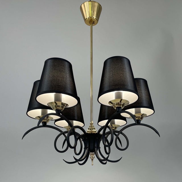 Black Cast Iron and Brass Chandelier, France, 1950s For Sale - Image 4 of 17