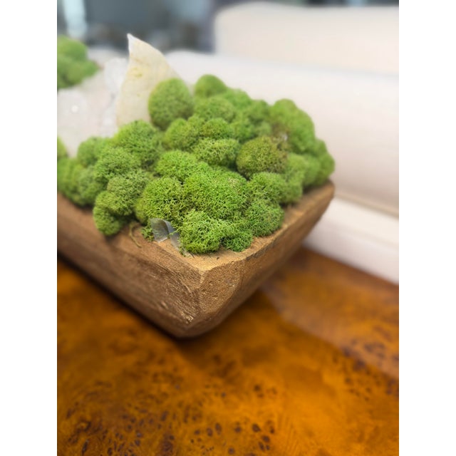Wood Botanical Mix Potted Arrangements For Sale - Image 7 of 9