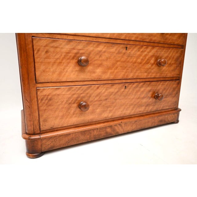 Large Antique Victorian Satin Wood Chest of Drawers, 1840 For Sale - Image 9 of 10