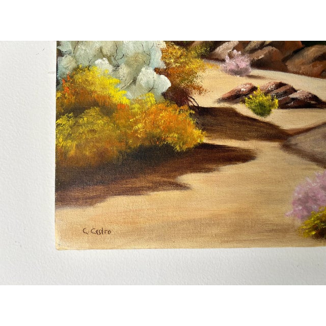 1980s 80's Vintage C. Castro Impressionist Desert Landscape Oil on Canvas Painting For Sale - Image 5 of 12