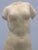 Early 20th-Century Grand Tour Italian Carved White Marble Statuette After the Venus of Cyrene For Sale - Image 10 of 18