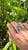 18k Gold, 2.63 Carats, Natural Zambian Emerald & Rose Cut Diamonds Cocktail Ring, Size 6 For Sale - Image 9 of 10