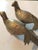 Metal Pair Vintage Mid Century Brass Pheasant Bird Statues For Sale - Image 7 of 12