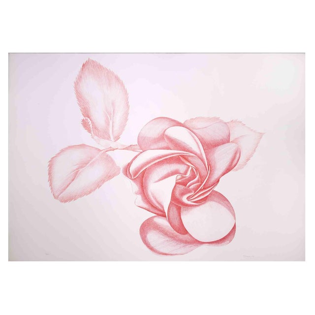 Giacomo Porzano, Red Rose, Original Etching, 1970s For Sale