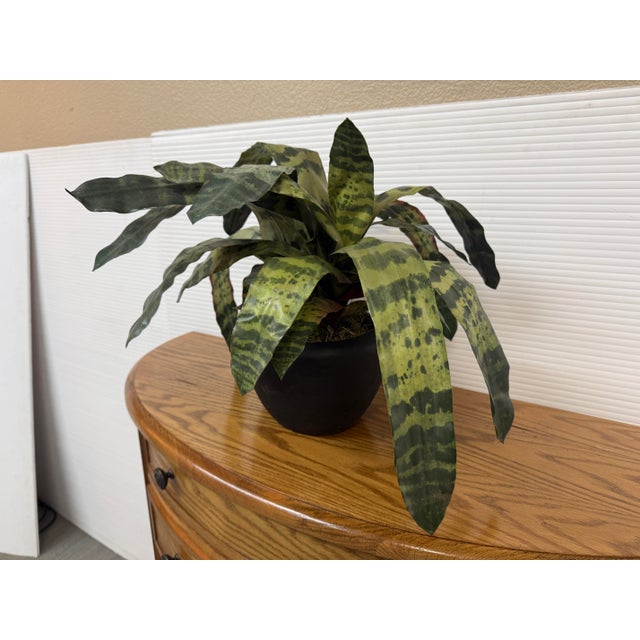 Design Plus Gallery presents an Artificial Vriesea Hieroglyphica + Vase. This lifelike plant arrangement depicts the...