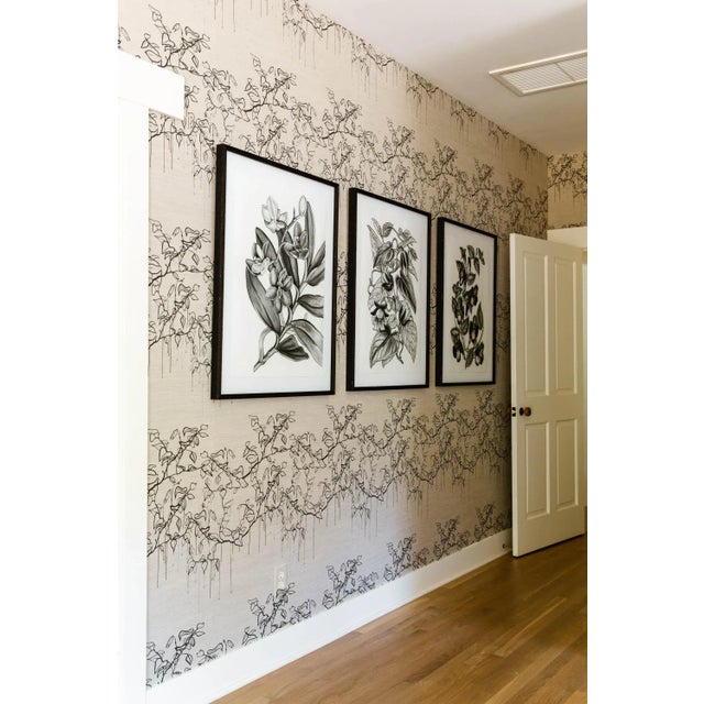 Contemporary Contemporary Botanical (Campanumoea Javanica) Black and White Print For Sale - Image 3 of 5