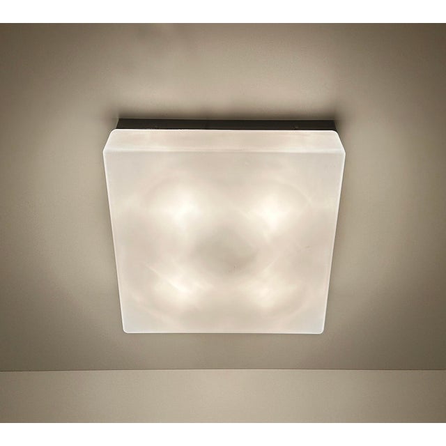 Vintage Glass Light from Erco, 1960s For Sale - Image 11 of 13