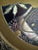 Brown Kayser Sohn, Renaissance Figures – Pair of Decorative Inlaid Mother of Pearl and Tortoiseshell Corviniello Chargers 11 3/8", Dated 1884 For Sale - Image 8 of 17