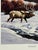 1990s 1992 Jocelyn Lillpop Russell Under Mineral Point Signed Numbered Wildlife Print Elk San Juan Mtn. Range For Sale - Image 5 of 9