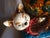 Minton Mid 19th Century Cat and Bowl Minton Majolica Jardiniere For Sale - Image 4 of 12