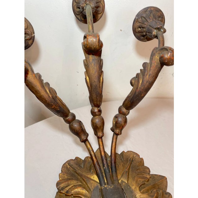 Gold Antique Ornate 19th Century Italian Gilt Wooden Electrified Wall Sconce Fixture For Sale - Image 8 of 14