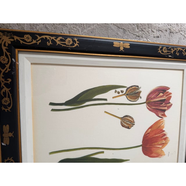 1990s Tulip Mania Set of Four Botanical Lithograph Prints From Scully & Scully in Black/Gold Scroll Frames - Set of 4 For Sale - Image 4 of 18