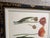 1990s Tulip Mania Set of Four Botanical Lithograph Prints From Scully & Scully in Black/Gold Scroll Frames - Set of 4 For Sale - Image 4 of 18