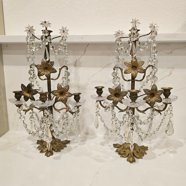 Pair of vintage girandoles or candelabras in the French or Hollywood Regency style featuring a botanical design. Beautiful...