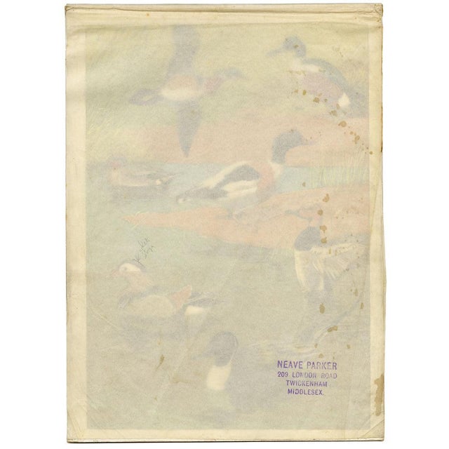 William Neave Parker, Ducks Bird, Mid-20th Century, Gouache Painting For Sale - Image 6 of 9