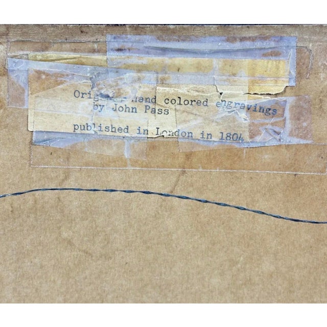 The Maimon, or Pig-Tailed Baboon - An Exceptional 18th-Century Natural History Engraving For Sale - Image 11 of 13