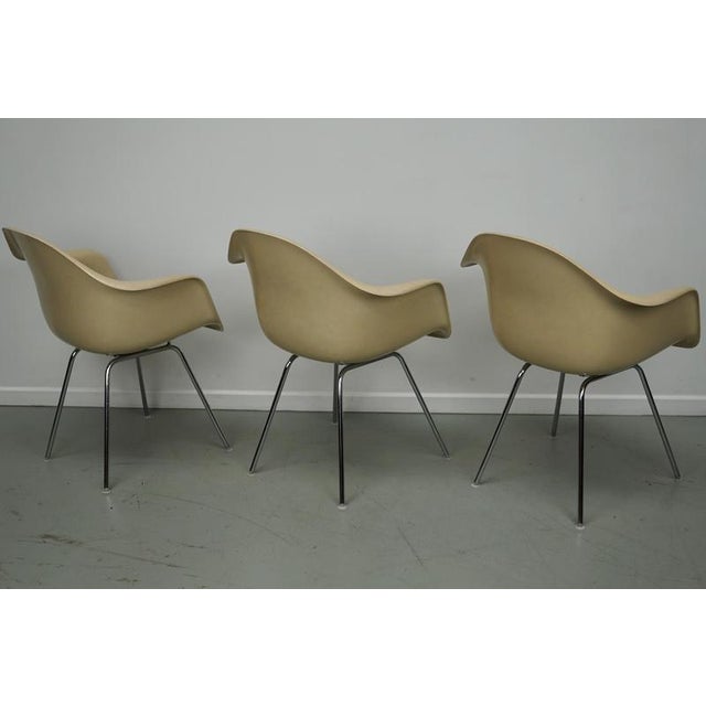 Vintage Parchment Fiberglass Dax Armhairs by Charles & Ray Eames, Set of 3 For Sale - Image 18 of 18