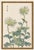 Two Wildflowers by Hasegawa, Vintage Japanese Botanical Art Print, 16" X 24" For Sale In Buffalo - Image 6 of 9
