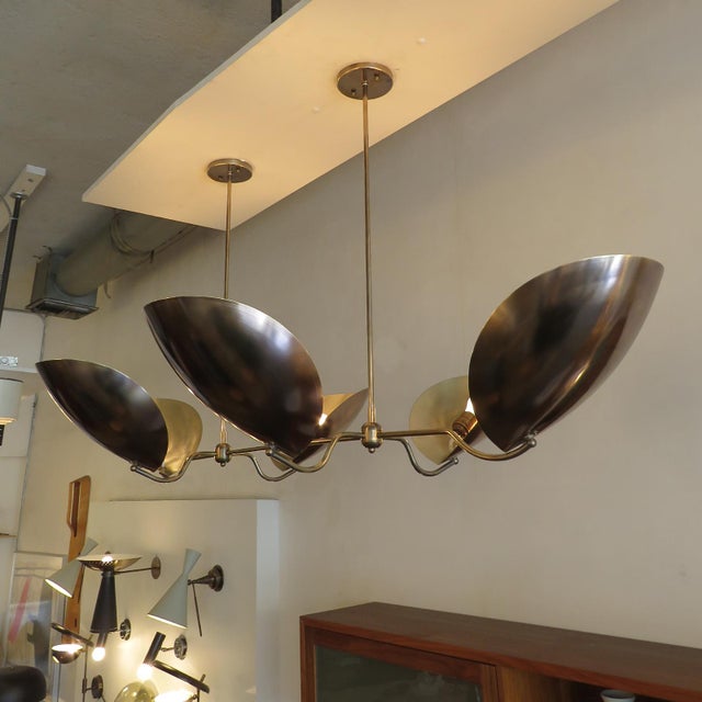 Chiton-6™ Chandelier by Gallery L7 For Sale - Image 10 of 10