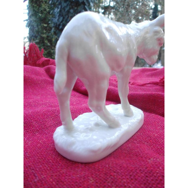 Porcelain Donkey Figurine from Nymphenburg, 1970s For Sale - Image 10 of 14