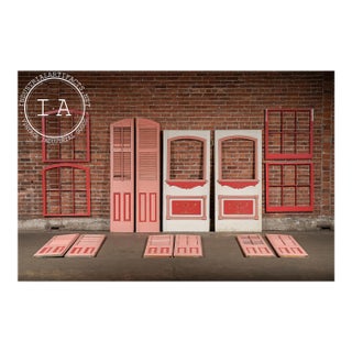 Antique Salvaged New Orleans Architectural Door & Window Panel Set For Sale