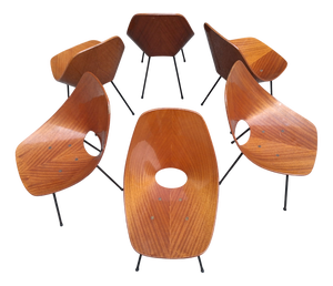 Wooden Medea Chairs by Vittorio Nobili for Medea Fratelli Tagliabue, 1950s, Set of 6