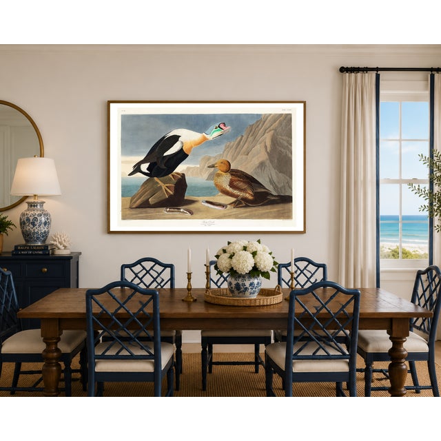 King Duck, Vintage Art Print Reproduction From Birds of America by John James Audubon, 24" X 16" For Sale - Image 4 of 9
