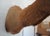 Elk 13 Point Mount Head and Bust For Sale - Image 16 of 18
