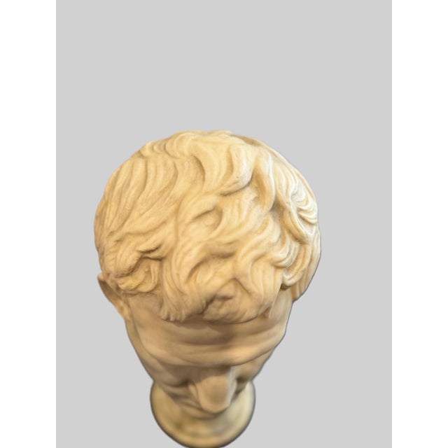 Neoclassical Roman Emperor Bust – Sculptural Resin – 20” Tall For Sale - Image 4 of 5